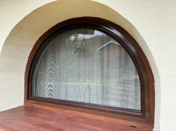 Insektenschutznetze in außergewöhnlicher Ausführung Insektenschutznetze in außergewöhnlicher Ausführung